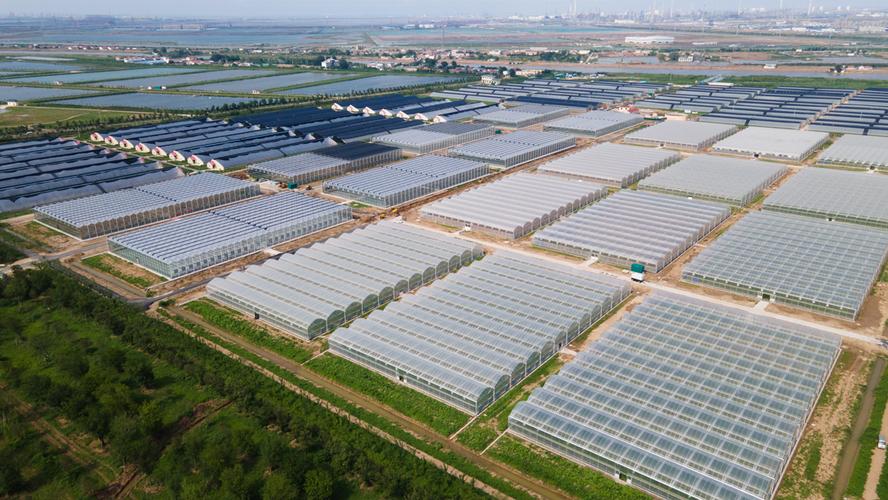 香河生態園蔬菜基地一期建設運營項目招商公告